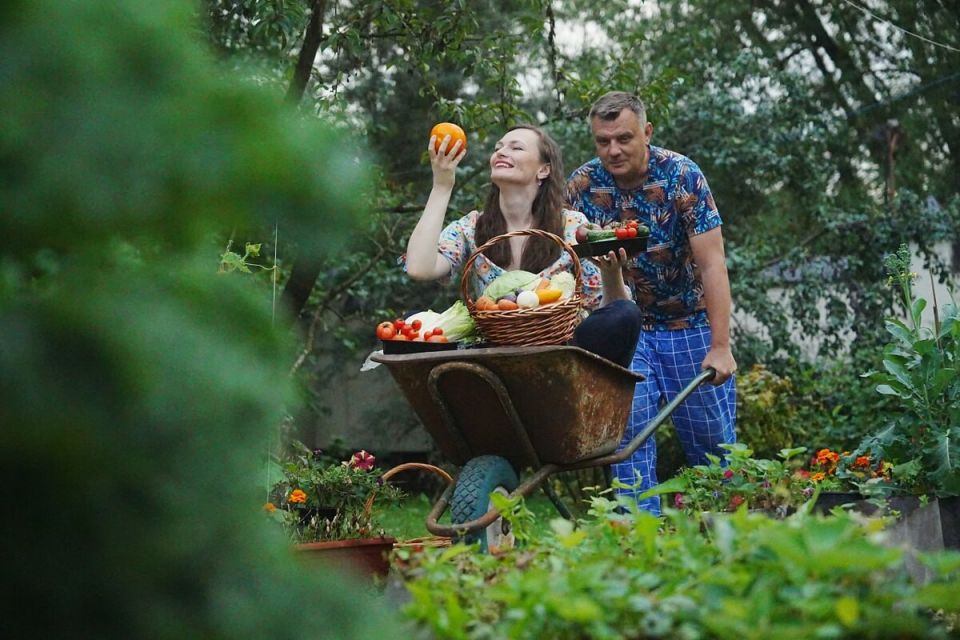 ��� ����������� ���� ������ � �������� �����: ������ ���������