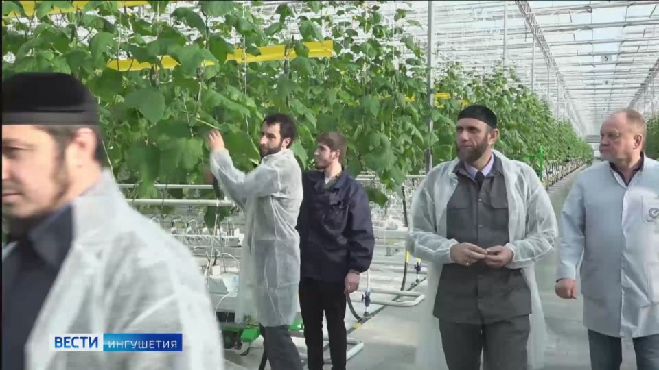 ������� ������ ��������� ��� ��������� ������������ �����������������