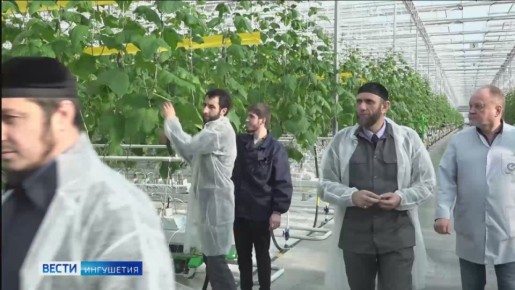 Будущий урожай Ингушетии под контролем специалистов Россельхознадзора