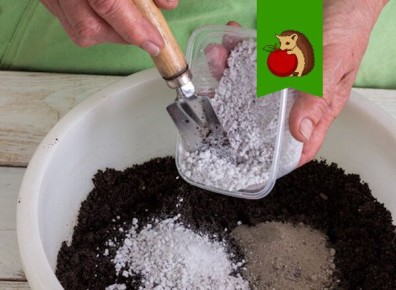 ��� �� ����� ��������� � ����� ��� �������