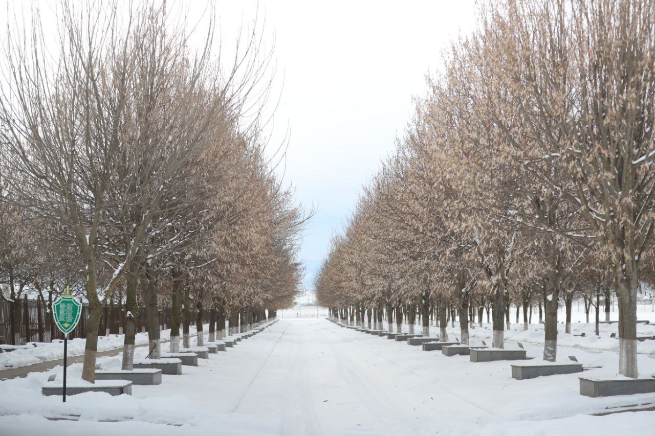 Зимние пейзажи Ингушетии. Подписывайтесь на нас в МАХ Зимние пейзажи Ингушетии. Подписывайтесь на нас в МАХ