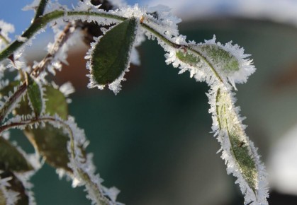 ��� �� ������������ � �������: ������������� � ��������������� ��������