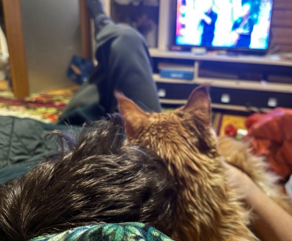 ��� �� ��������: ���� � ����������� ��������� � ���������� �����������