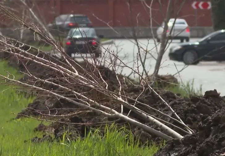 ����� ������� ������ ���������� � ����������� ���������� ������