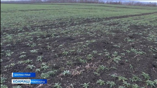 2025 ���� ������ ��� ���������������� ����������