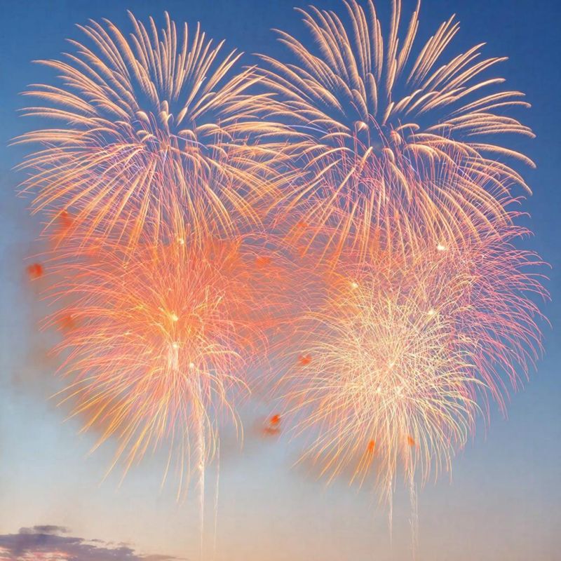 ����� � ������: ������������ ���������� ����������� � 2026 ����