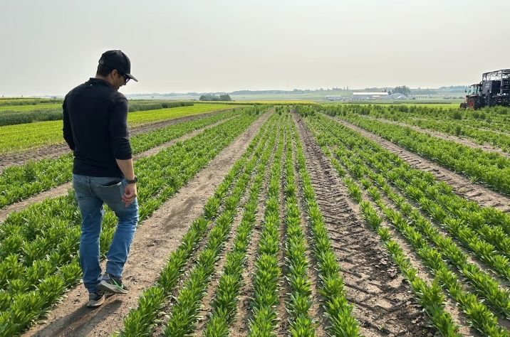 ��������� ������� ��������� ������������� ������, ������� ��������� ������