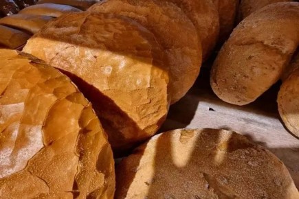 ������ ���� �� �����: ��� ����� �����, ������ ��� ������ �������