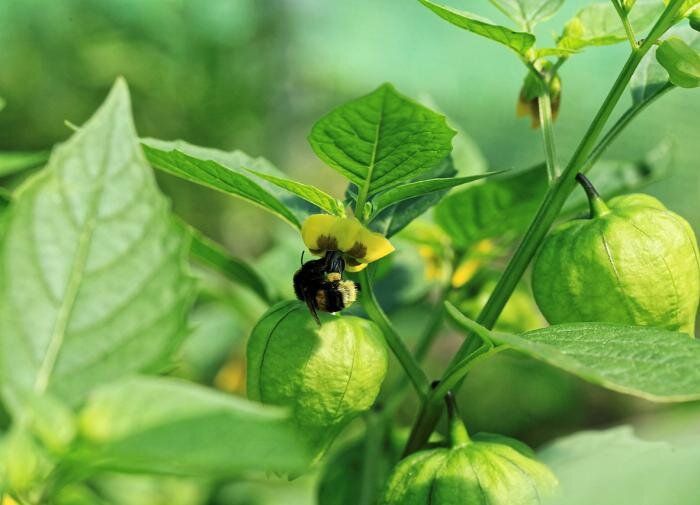 �������: ������� ��������� ����������� � ������� �����