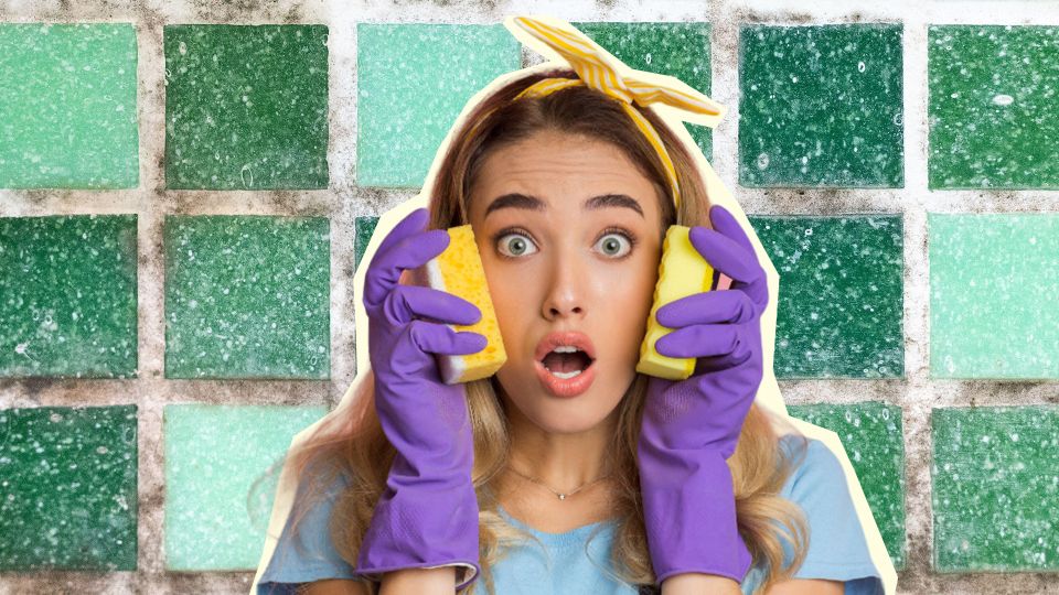 ���� � ������� ����� ������� ������ �� ���������: ������� ��� ��������� ��������