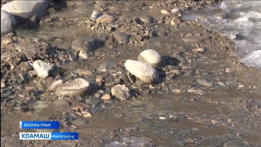 �����-������ ������������ ���������