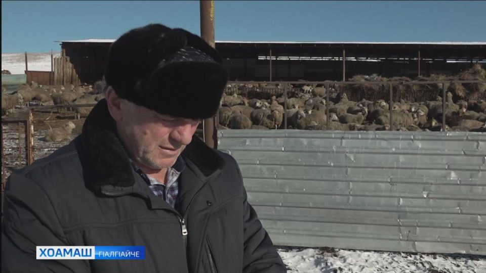 Хучиев Гелани боахам. Юрта ший г1улакх хьаделлаш массаза хаттар отта предпринимательства санна, син ч1оаг1он а. Тахан ший г1улакх дикка гаьна даьккха, боккха дег1боаг1аш боахам хьабийлачарех ва Хучиев Гелани