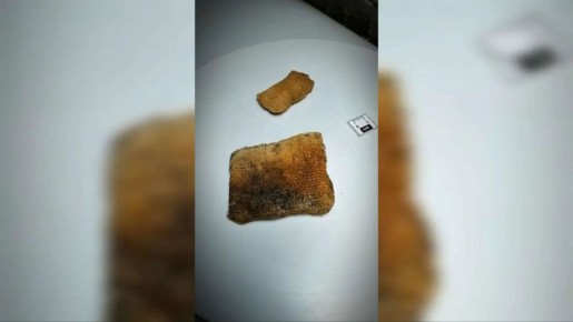 ������� ��������� �� ���������� ����� ���������� � ����������� ������ ���������