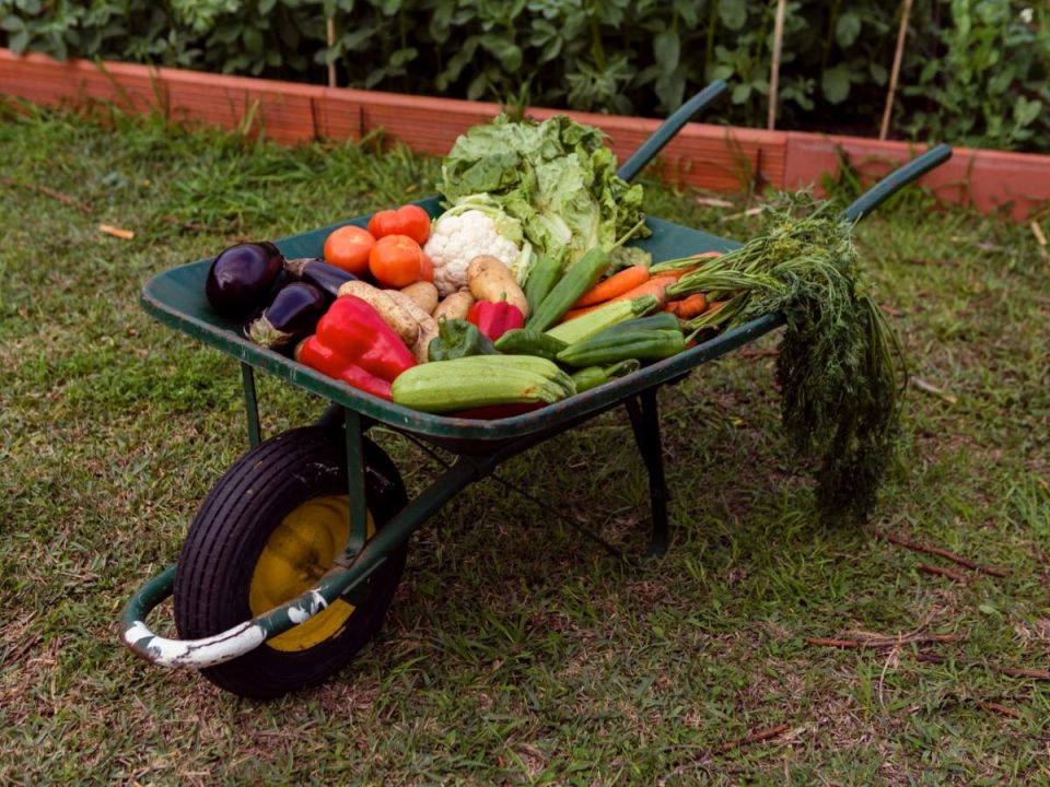 ��� ����������� ������ � ����: ������� � ������ ��� ��������