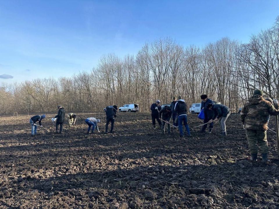 Ингушетия получит 10000 новых деревьев: в Сунженском лесничестве завершили посев ценных пород