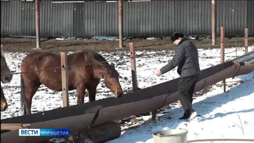 ������������ ��������� ������������� ������� ����� ����� ������������