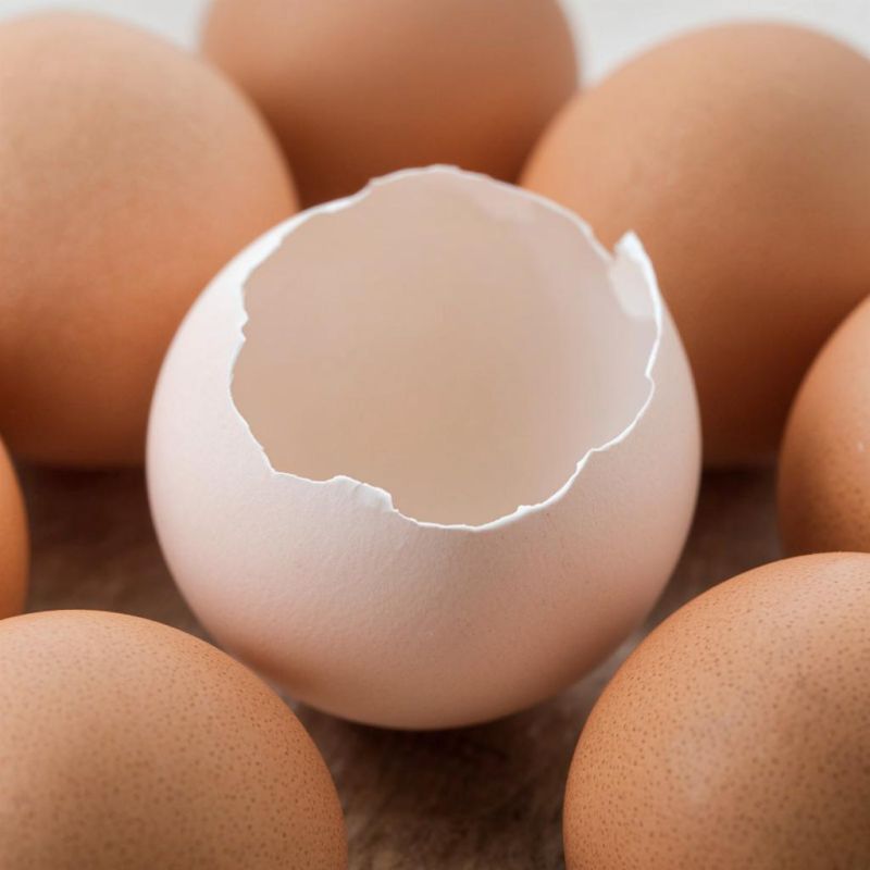 ������ �������� � �������: ������ ��� ����������� ����� ����� ���� �������