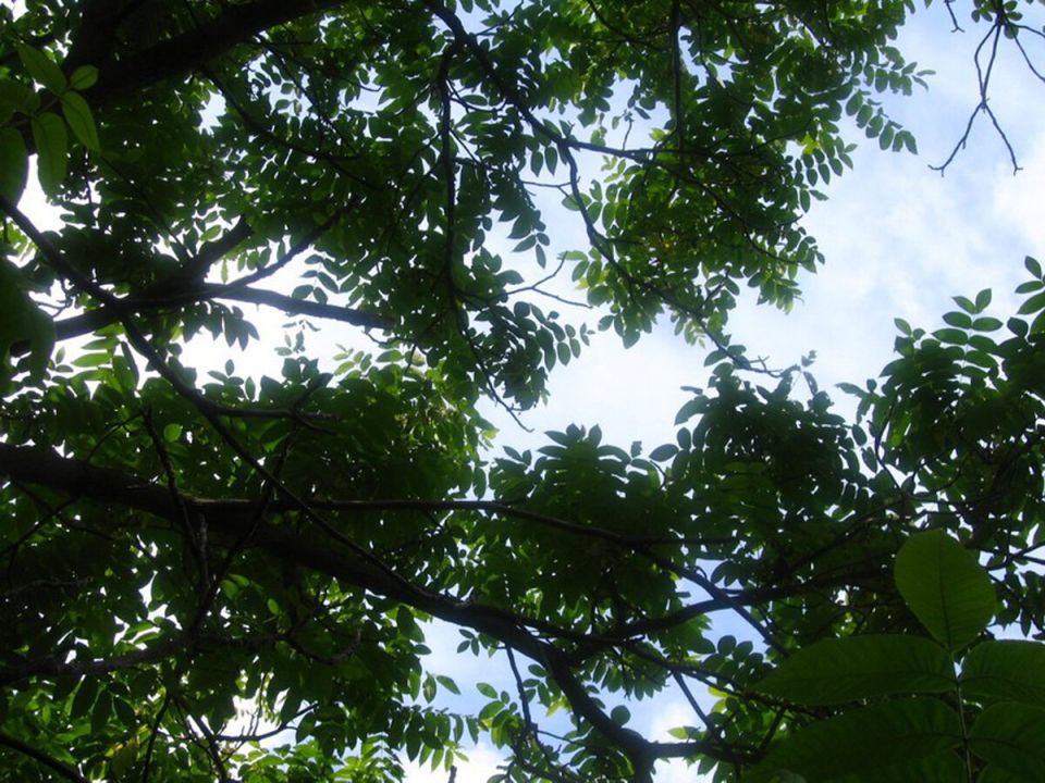 �������� ��� ���� ����������� ����: ���������� ������ ��� ������ ����