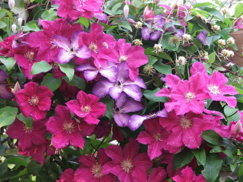 ��� �������� ������������� �������� ����������: ������� � ������������