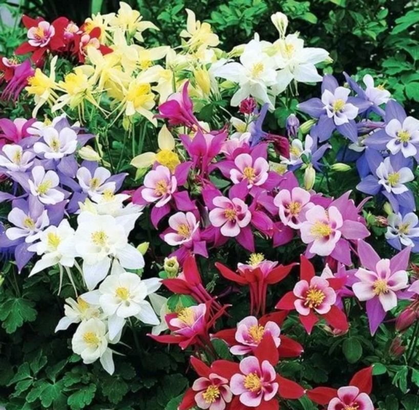 ����� ��������� ����: 20 ������������ �������� ��� ���������� �������