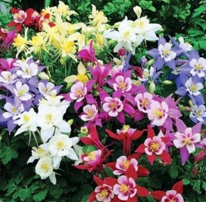 ����� ��������� ����: 20 ������������ �������� ��� ���������� �������