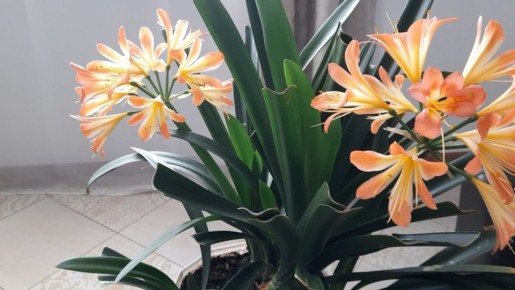 ������ �����: ��� ������ �������� ��������� �������� ������