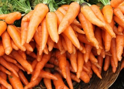 Советы по поливу моркови в августе: как сохранить урожай