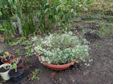 ��� ���� �������� ���������� ���� � ��������� ����