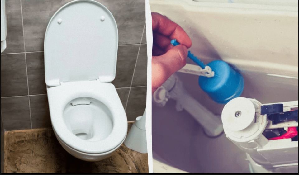 ������ ������� �� ��������� ������: ���������� ������