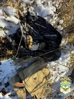 2 гранаты, 2 запала к ним, электродетонатор и патрон добровольно выдал полицейским житель Малгобека