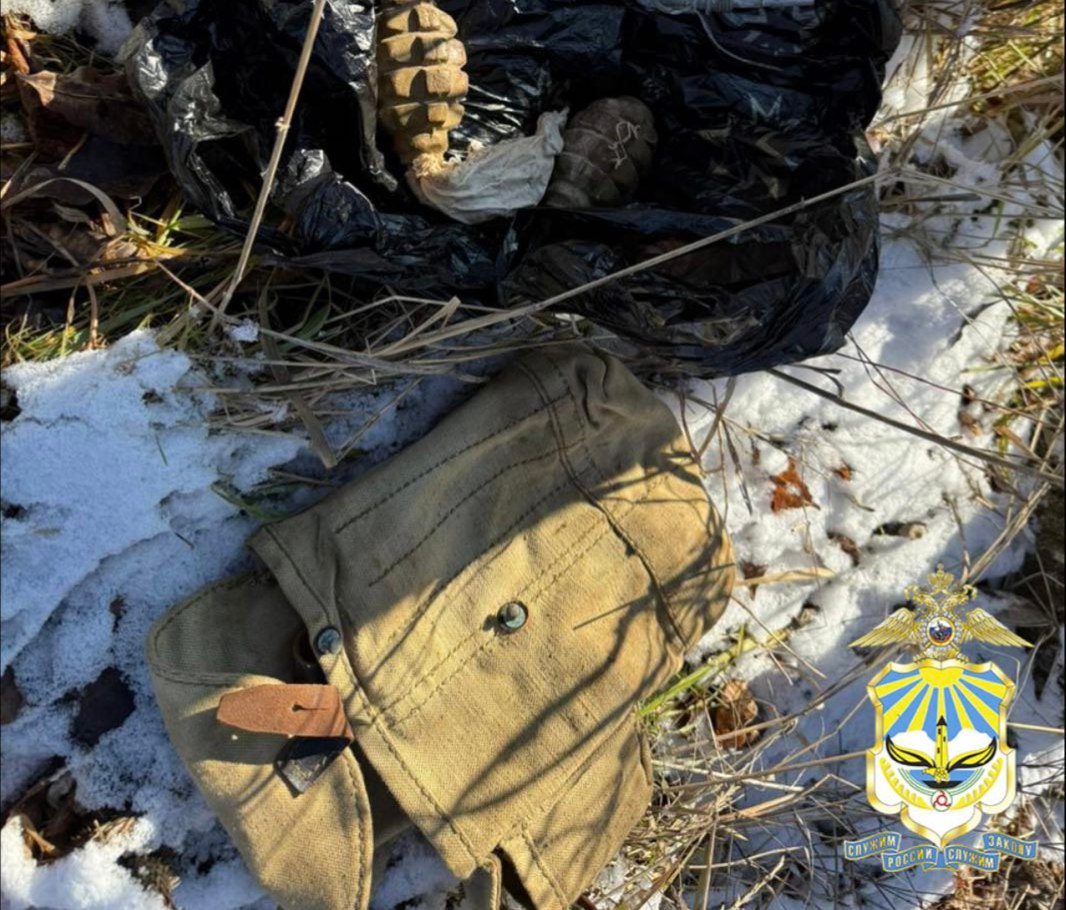 Житель Ингушетии выдал полицейским две гранаты