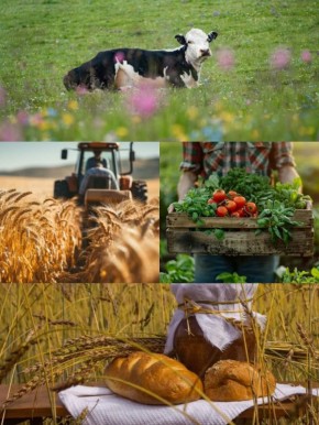 ���������� ��������� ���� ��������� ������ �� ��������� ����������� � ����������