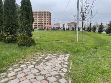 � ������� ��������� ������������ ������ �������� ������������ ������������