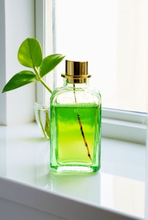 ���������� �����: ������������������� �������� � ���� � �� ����