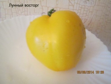 ����� ������� �������: ��������������� ����� ��� �������� ��������