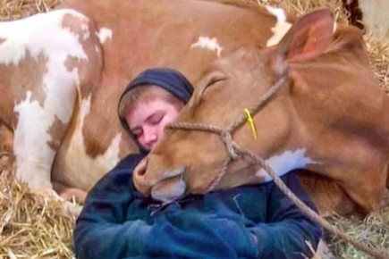 ����������, ��������� ������ � ������������ �������