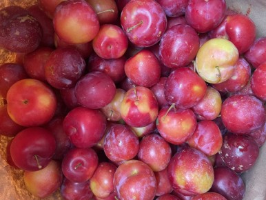 ��� ����������, ���� ������ ���� ���� �����?