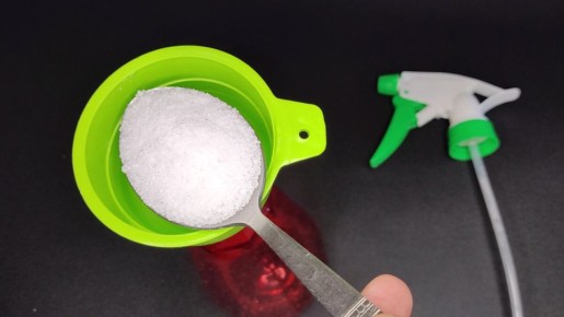 ����� ������� ������: �� � ������� � ����������� ��������