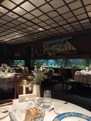 33 ���� ��������� �������: ��� ��������� �������� � �������� ����� ���������