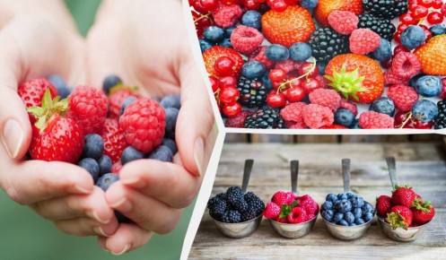 ������ ����, ������� ����� �������� � ���� ������ ��� ��������