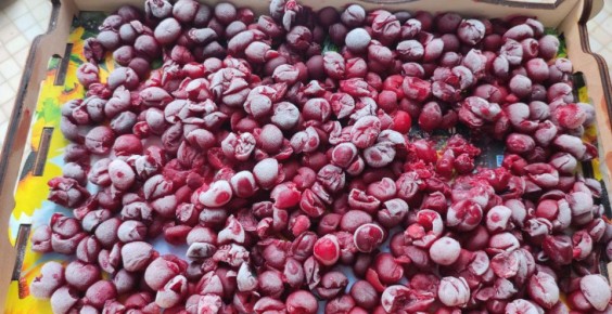 ��� ��������� ����� �� ���� ��� ������ �����