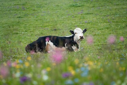 � 2025 ���� ��������� ���������� ��������� ���� � ���������������� ���������