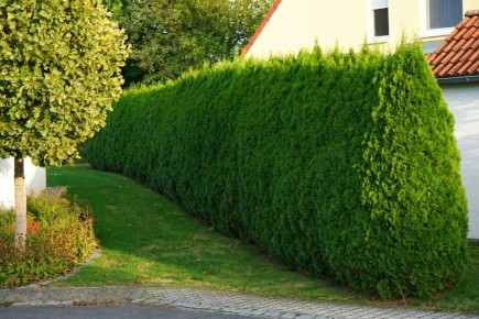 ������� ����� �������� ��� ������ ������: ��� ������ � ��� ���������