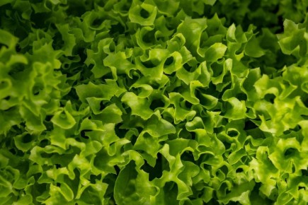 ��� ��������� ���� �������� ������ ����� ��������� �� �������� � ������������