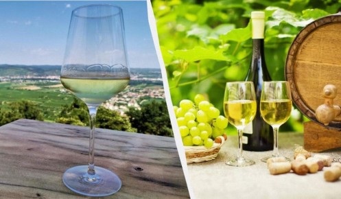 ��� ������������ ������� ������ ���� �� ���� ����� �������� �����������