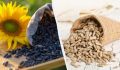 Как есть семечки подсолнечника: 9 вкусных и полезных способов, которые стоит попробовать