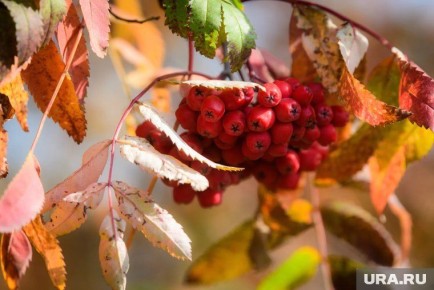 ��������� �������������: ������ ����� ����� �������� ���� � ��������� ��������