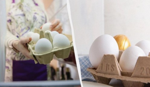 Как правильно хранить яйца чтобы дольше сохранять свежесть