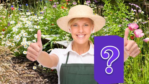 ���� ������� ������ ��� ������� �� �������: ������ �� ������ �� ��������