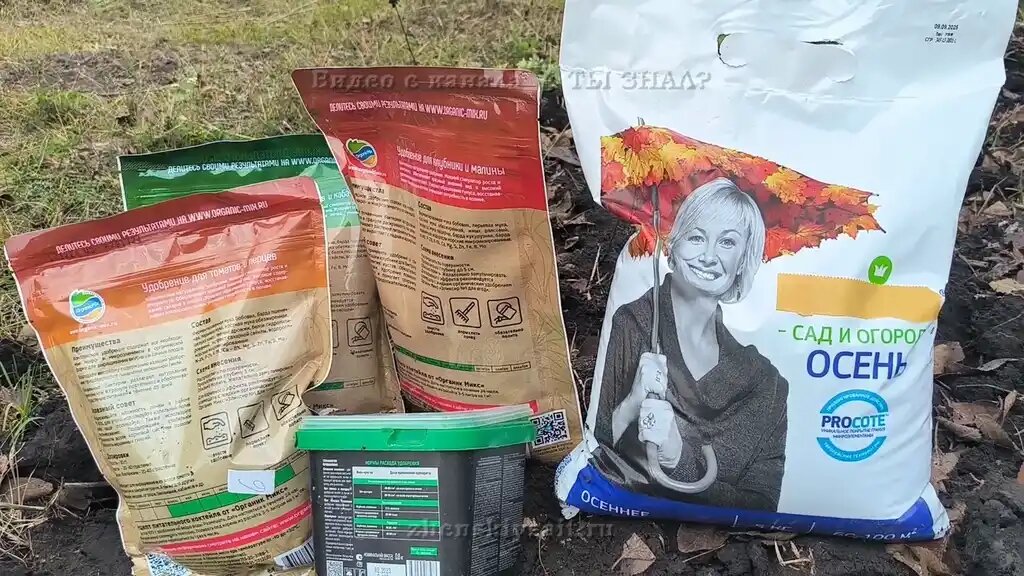 Секреты правильного использования минеральных удобрений для вашего сада